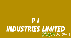 P I INDUSTRIES LIMITED ankleshwar india