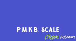 P.M.K.B. Scale
