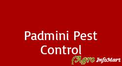 Padmini Pest Control