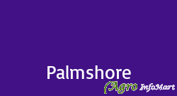 Palmshore
