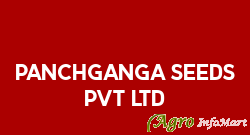 PANCHGANGA SEEDS PVT LTD aurangabad india