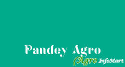 Pandey Agro sagar india