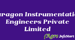 Paragon Instrumentation Engineers Private Limited roorkee india