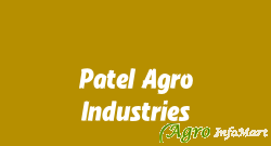 Patel Agro Industries gondal india