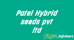 Patel Hybrid seeds pvt ltd ahmedabad india
