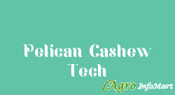 Pelican Cashew Tech ahmedabad india
