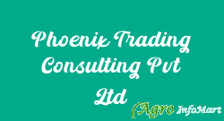 Phoenix Trading Consulting Pvt Ltd mumbai india
