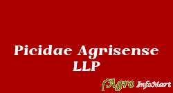 Picidae Agrisense LLP