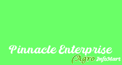 Pinnacle Enterprise delhi india