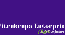 Pitrukrupa Enterprise rajkot india