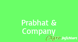 Prabhat & Company jaipur india