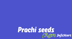 Prachi seeds jalgaon india