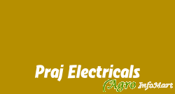Praj Electricals pune india