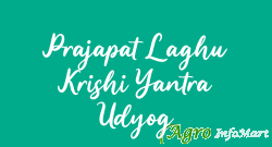 Prajapat Laghu Krishi Yantra Udyog jaipur india