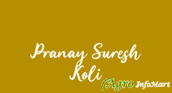 Pranay Suresh Koli