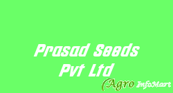 Prasad Seeds Pvt Ltd