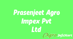 Prasenjeet Agro Impex Pvt Ltd nagpur india