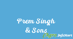 Prem Singh & Sons patiala india