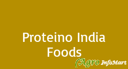 Proteino India Foods delhi india