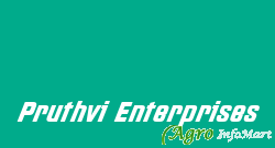 Pruthvi Enterprises ahmedabad india
