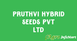 Pruthvi Hybrid Seeds Pvt Ltd ahmedabad india