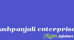 Pushpanjali enterprises ghaziabad india