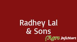 Radhey Lal & Sons delhi india