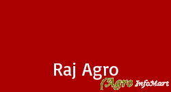 Raj Agro patna india