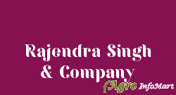 Rajendra Singh & Company lucknow india