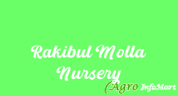Rakibul Molla Nursery kolkata india
