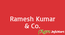 Ramesh Kumar & Co.