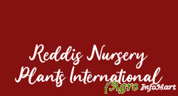 Reddis Nursery Plants International hyderabad india