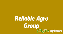Reliable Agro Group raipur india