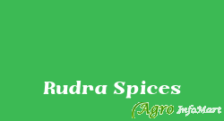 Rudra Spices mehsana india