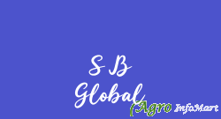 S B Global delhi india