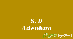 S. D Adenium kolkata india