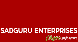 Sadguru Enterprises nanded india