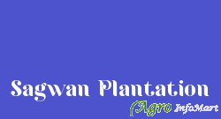 Sagwan Plantation