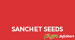 Sanchet Seeds solapur india
