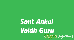 Sant Ankol Vaidh Guru delhi india