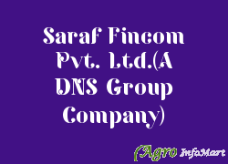 Saraf Fincom Pvt. Ltd.(A DNS Group Company) delhi india