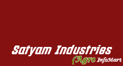 Satyam Industries delhi india