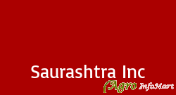 Saurashtra Inc
