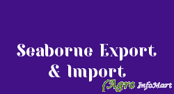 Seaborne Export & Import chennai india