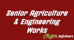 Senior Agriculture & Engineering Works
