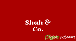 Shah & Co. mumbai india
