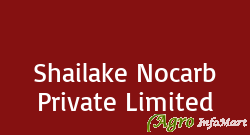 Shailake Nocarb Private Limited ahmedabad india