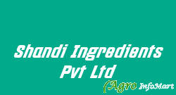 Shandi Ingredients Pvt Ltd jaipur india