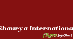 Shaurya International delhi india