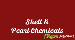 Shell & Pearl Chemicals ankleshwar india
